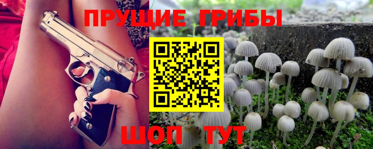 Псилоцибиновые грибы Magic Shrooms  Вход с VPN  Лосино-Петровский 